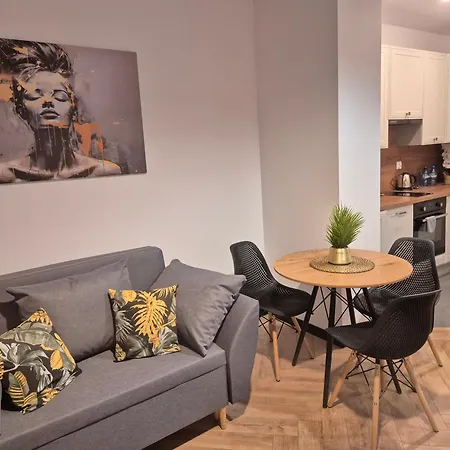 Ami Luxury Xii Centrum - Mozliwosc Rejsu Lodzia 아파트